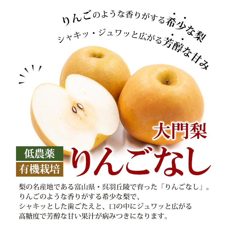【予約】秀品 大門梨 低農薬 有機栽培 りんご梨 5kg 富山県産 朝採り 梨 完熟梨 赤土栽培 完熟 樹熟 呉羽梨 フルーツ ナシ なし ...