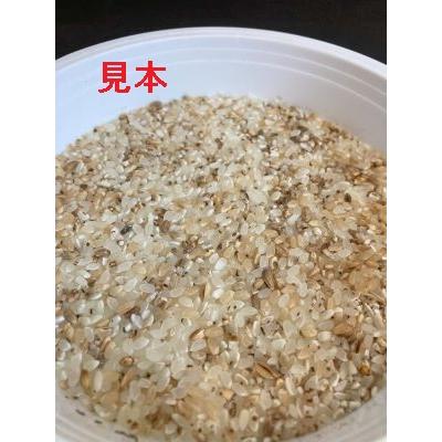 くず米 飼料用 肥料用 鳥のエサ 10kg 令和7年産 : 米悠ショップ - 通販 