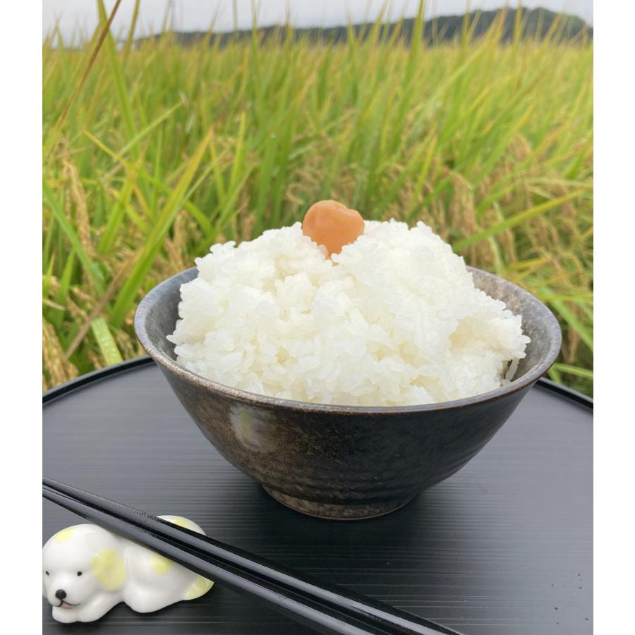 あきたこまち 10キロ 令和7年産 茨城県産 白米 新米 農家直送 爆買 令和７年産あきたこまち白米 10kg２袋セット