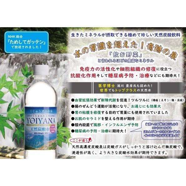 住宅企画 天然炭酸水 YOIYANA よいやな 500ml×24本 　≪糖尿病の予防・治療に期待される高濃度炭酸泉≫ 贈り物｜maizuru｜03