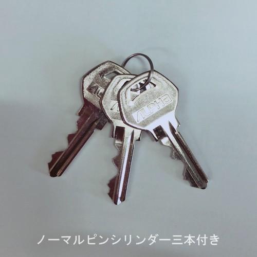 ウギンの目 MM2 英 2枚セット ACY-62 | ALPHA取替用シリンダー | ミズタニ | ミスミ