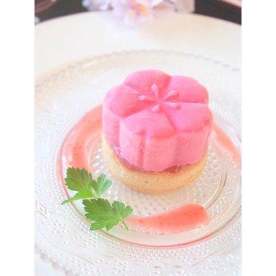 つなぎ目なし 丸セルクル型 80×H45mm ステンレス 馬嶋屋菓子道具店 