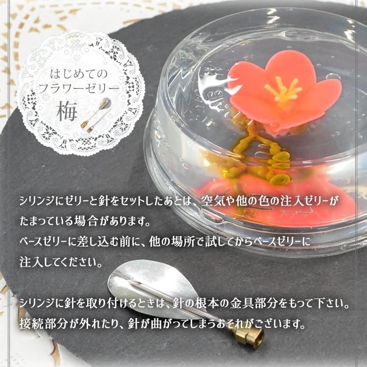 母の日 オリジナル フラワー ゼリー ツール B セット 注射器 別売り 梅 ひまわり 紅葉 牡丹 ハート 椿 菊 ダリア バラ あさがお 葉っぱ 花芯 Mj0321b 馬嶋屋菓子道具店 通販 Yahoo ショッピング