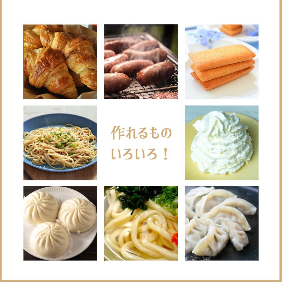 日本ニーダー パンニーダー PK1012 パン うどん パスタ 生クリーム