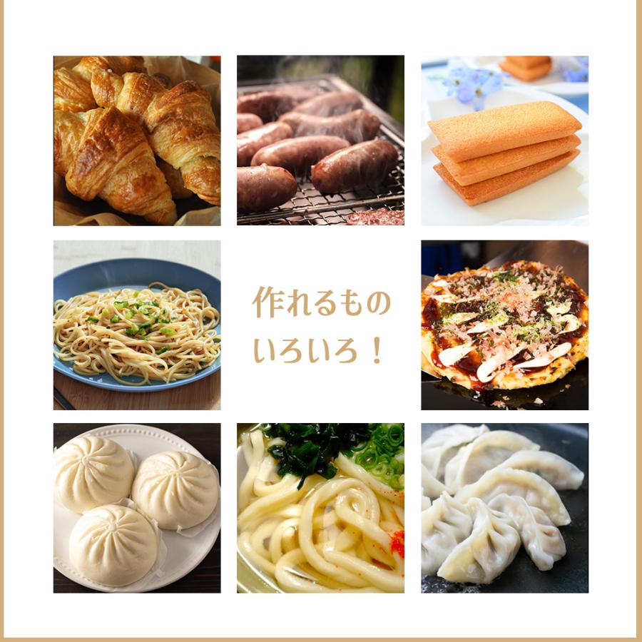 日時指定不可 後継機発売予定 廃番 日本ニーダー パンニーダー