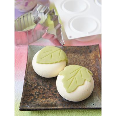 シリコマート SF163 ストーン 8個付 シリコン型 | STONE シリコン