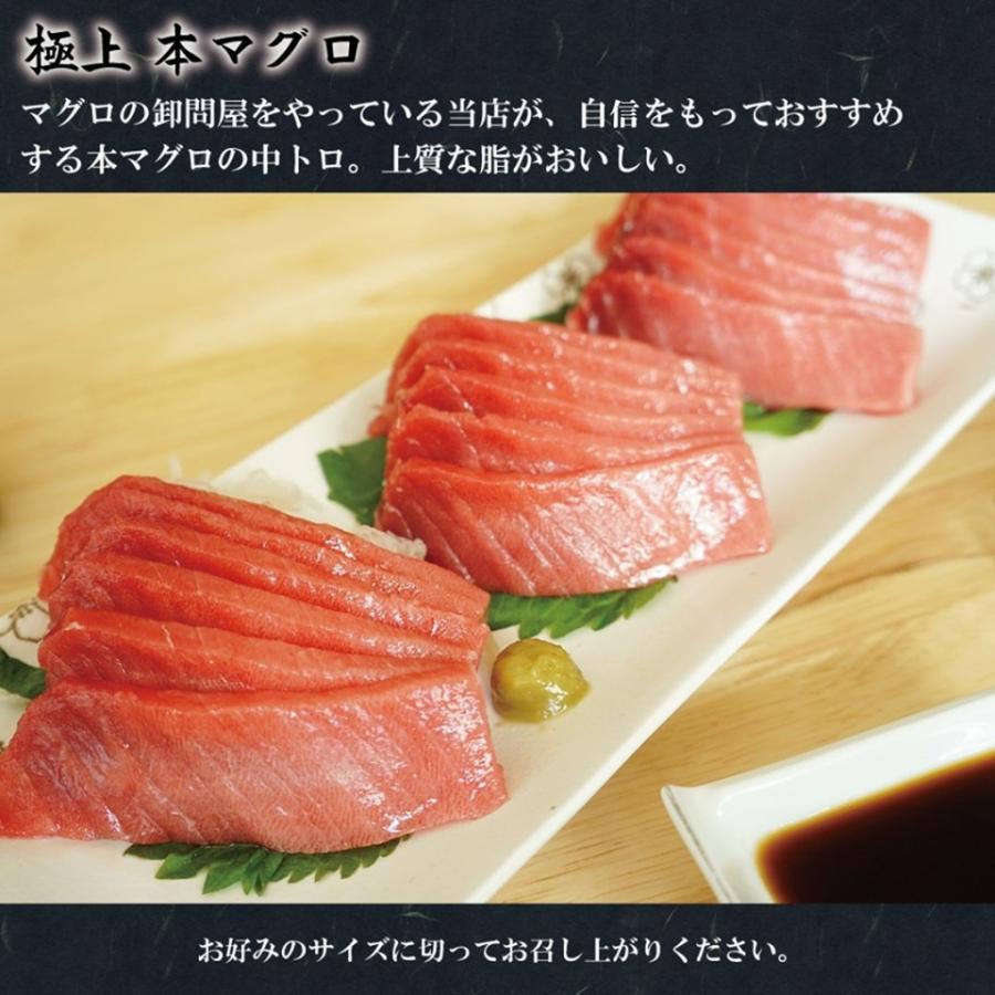 本マグロ マグロ 中トロ 刺身 約1キロ (12〜14人前) 本まぐろ 生食用