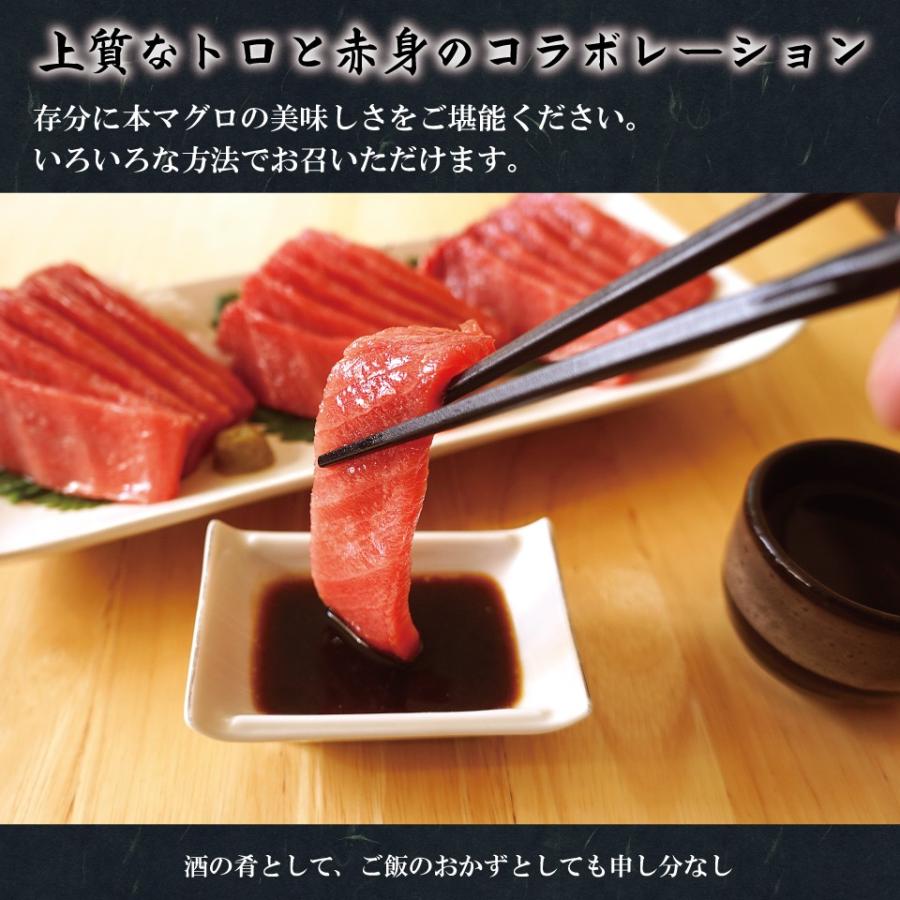 本マグロ マグロ 中トロ 刺身 約1キロ (12〜14人前) 本まぐろ 生食用