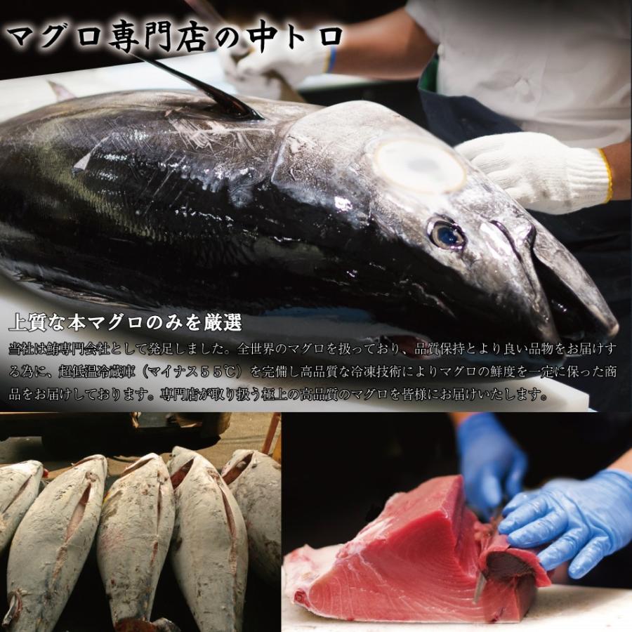 本マグロ マグロ中トロ 刺身 約230g (2〜3人前) 本まぐろ 中トロ 本マグロ マグロ中トロ 刺身 約230g (2〜3人前) 本まぐろ 中トロ