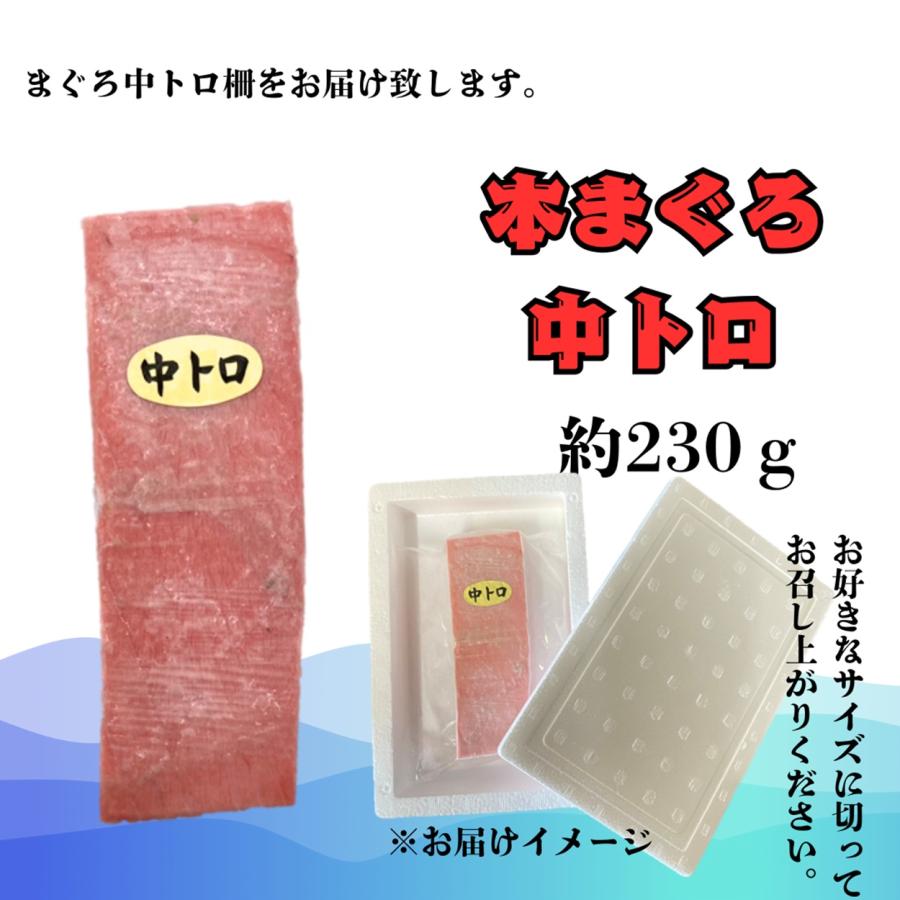 本マグロ マグロ中トロ 刺身 約230g (2〜3人前) 本まぐろ 中トロ 生