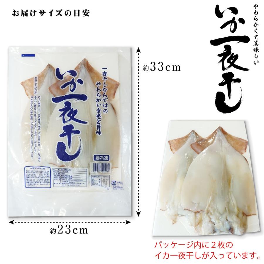 干物 いか一夜干し 2枚入り 塩焼き、炒め物、バター焼き プリプリとやわらかイカの開き お酒の肴としても｜majirushisuisan｜07