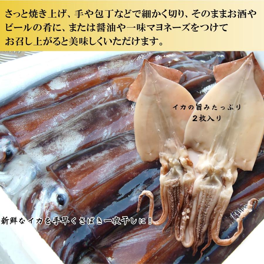 干物 いか一夜干し 2枚入 3袋 塩焼き 炒め物 バター焼き プリプリとやわらかイカの開き お酒の肴としても Ichiyaboshi 3 ま印水産 通販 Yahoo ショッピング