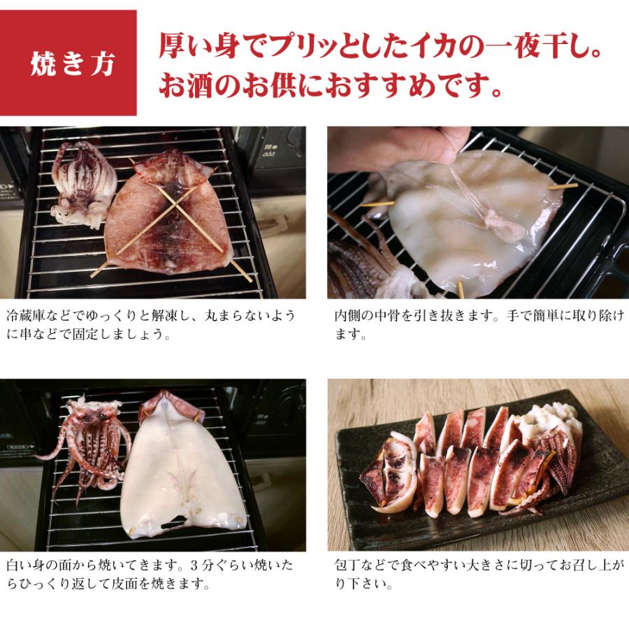 干物 いか一夜干し 2枚入 3袋 塩焼き 炒め物 バター焼き プリプリとやわらかイカの開き お酒の肴としても Ichiyaboshi 3 ま印水産 通販 Yahoo ショッピング