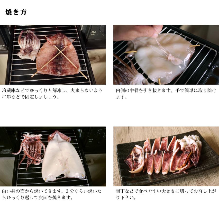 干物 いか一夜干し 2枚入 3袋 塩焼き 炒め物 バター焼き プリプリとやわらかイカの開き お酒の肴としても Ichiyaboshi 3 ま印水産 通販 Yahoo ショッピング