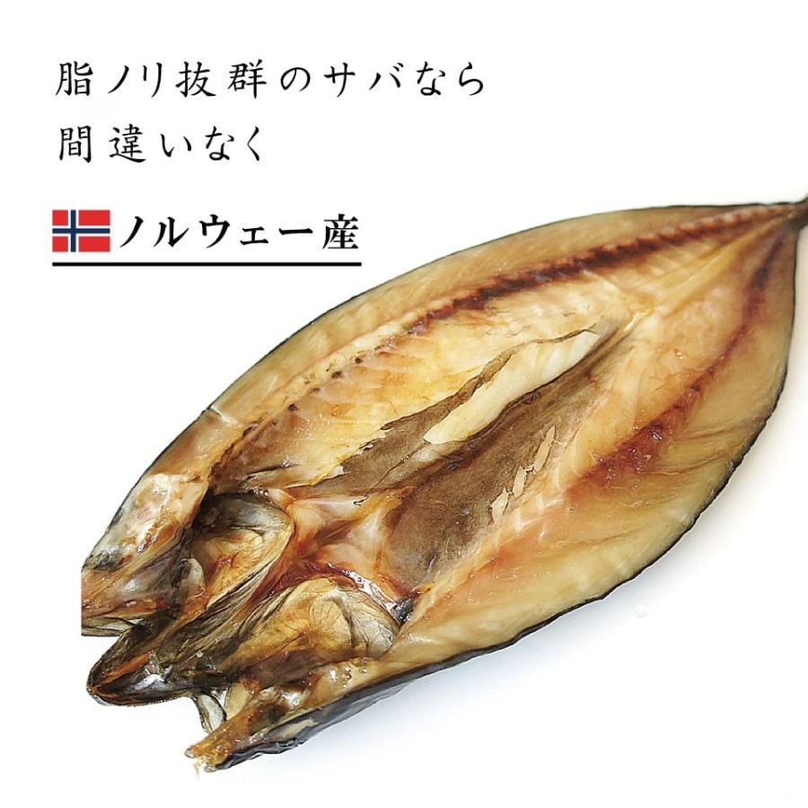 ノルウェー産 一夜干し 鯖 サバ 開き 3g前後 あま塩 大サイズ サバ 干物 干し魚 肉厚 さば 鯖 Saba3 ま印水産 通販 Yahoo ショッピング