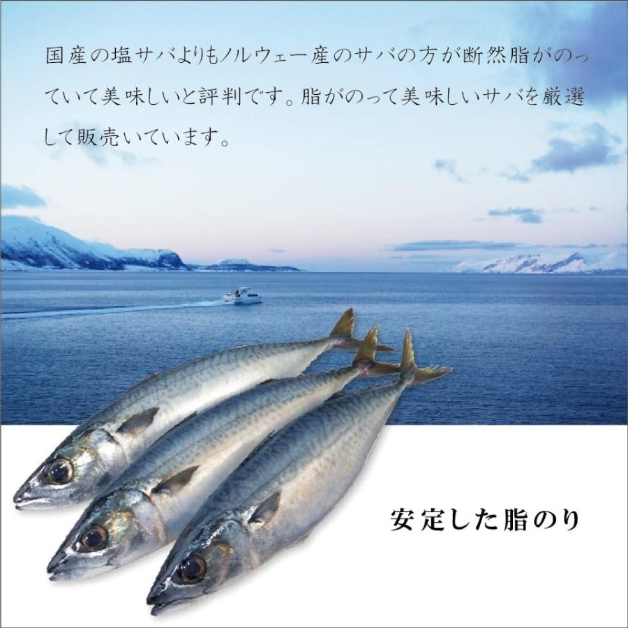 干物 サバ 一夜干し 約3g前後 鯖 ノルウェー産 さば ジューシーな味わい Saba3 ま印水産 通販 Yahoo ショッピング