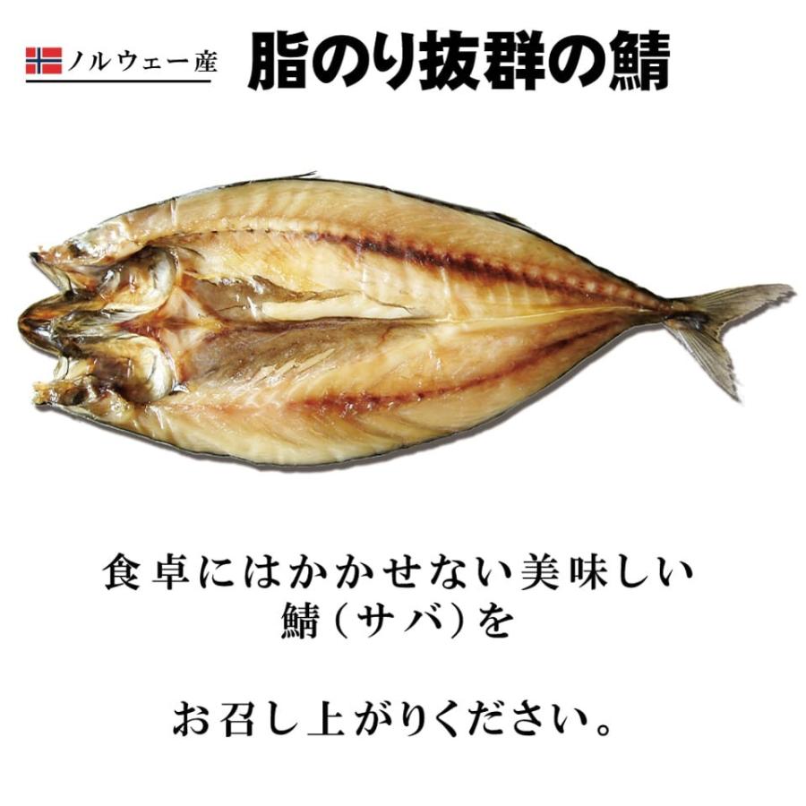 干物 サバ 一夜干し 約3g前後 鯖 ノルウェー産 さば ジューシーな味わい Saba3 ま印水産 通販 Yahoo ショッピング
