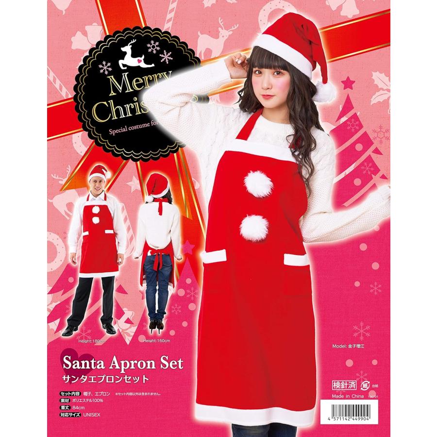 サンタエプロンセット サンタさん 大人用 簡易仮装 クリスマス