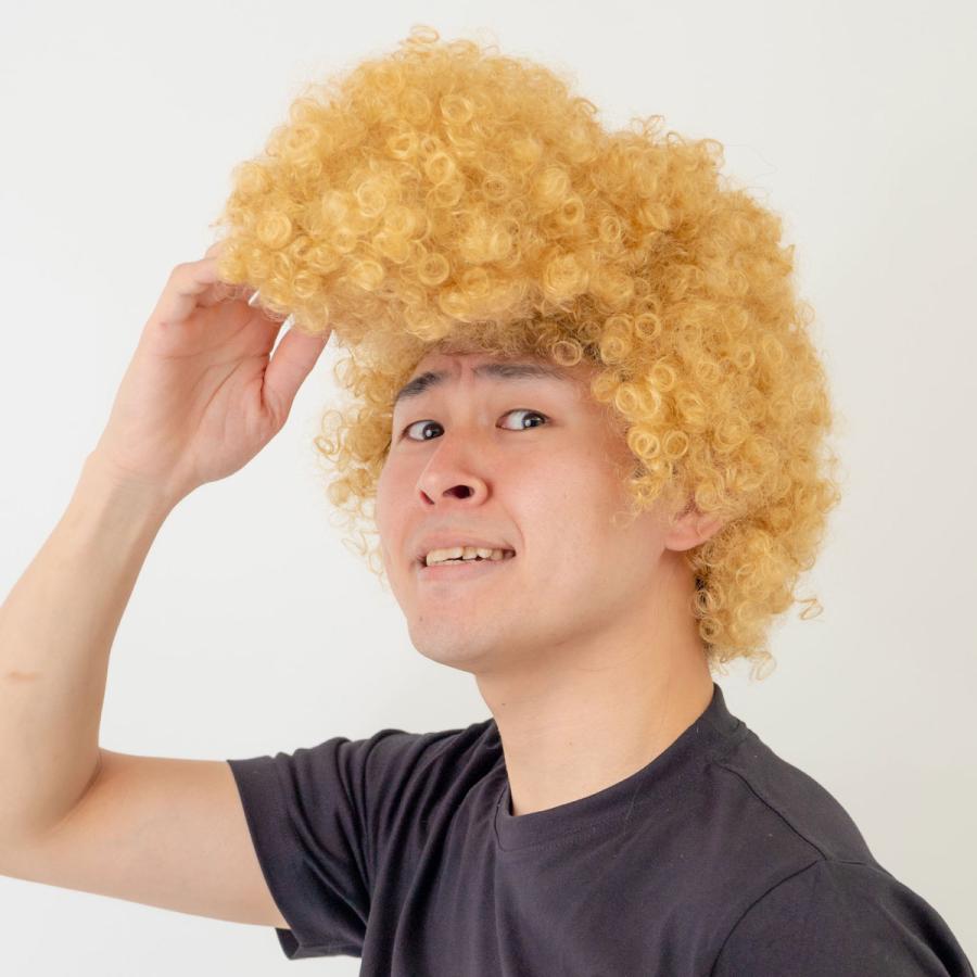 ミラクルリーゼント ゴールド かつら ウィッグ : パーティークラフト