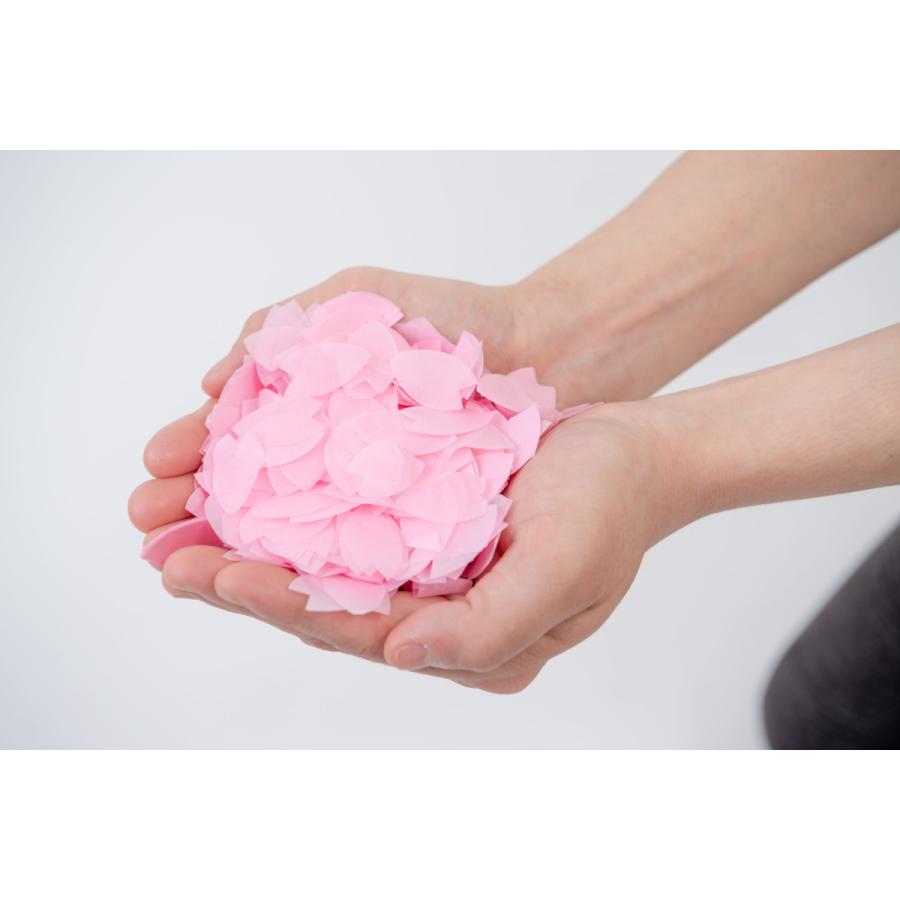 桜ふぶき 花見 桜吹雪 さくら吹雪 桜 :4957917973032:パーティー 桜ふぶき 花見 桜吹雪 さくら吹雪 桜 :4957917973032:パーティー