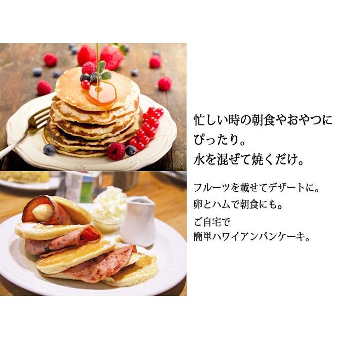 オノフラ パンケーキミックス 500g Onohula パンケーキミックス パンケーキ ハワイ ハワイアン 簡単 お土産 おやつ お子様 ハワイアンフード Hw Oh Ma Kai ヤフーショップ 通販 Yahoo ショッピング