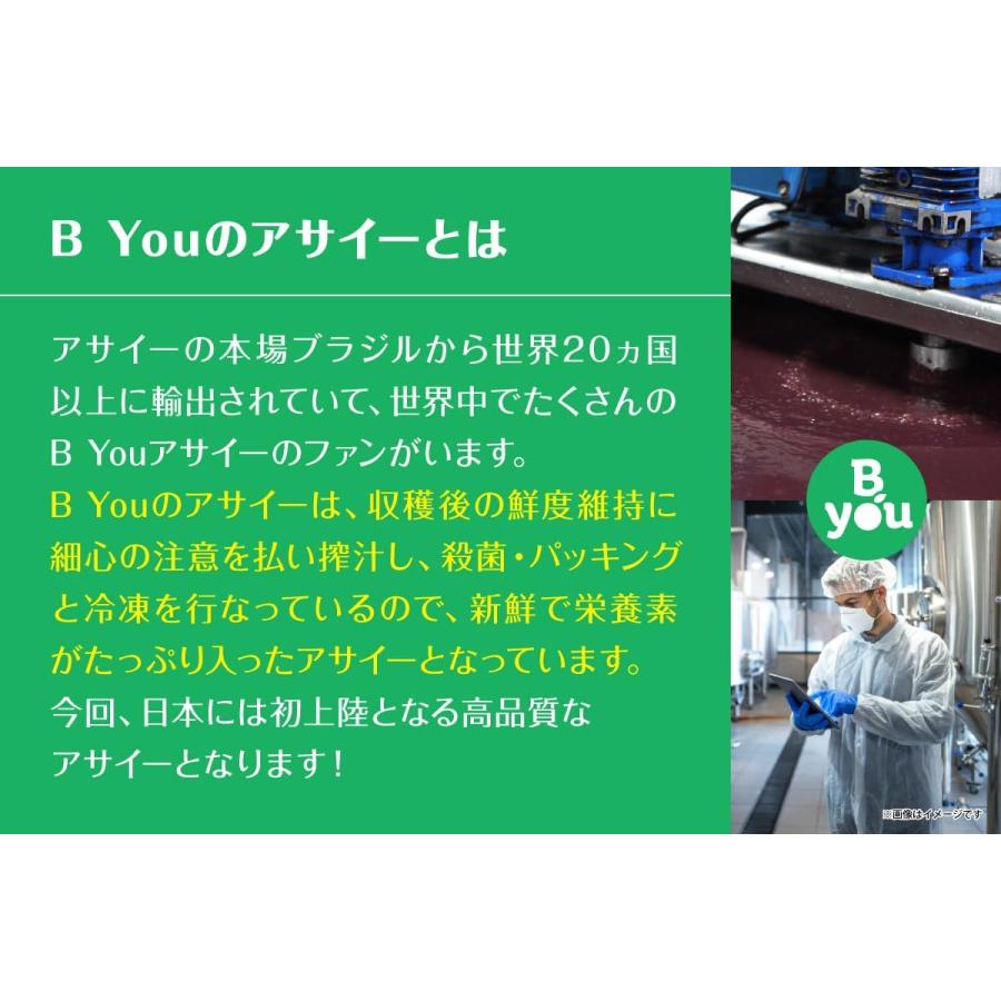 最大6kg/選べるサイズ】アサイー 無糖 400g(100g×4個) ブラジル直輸入