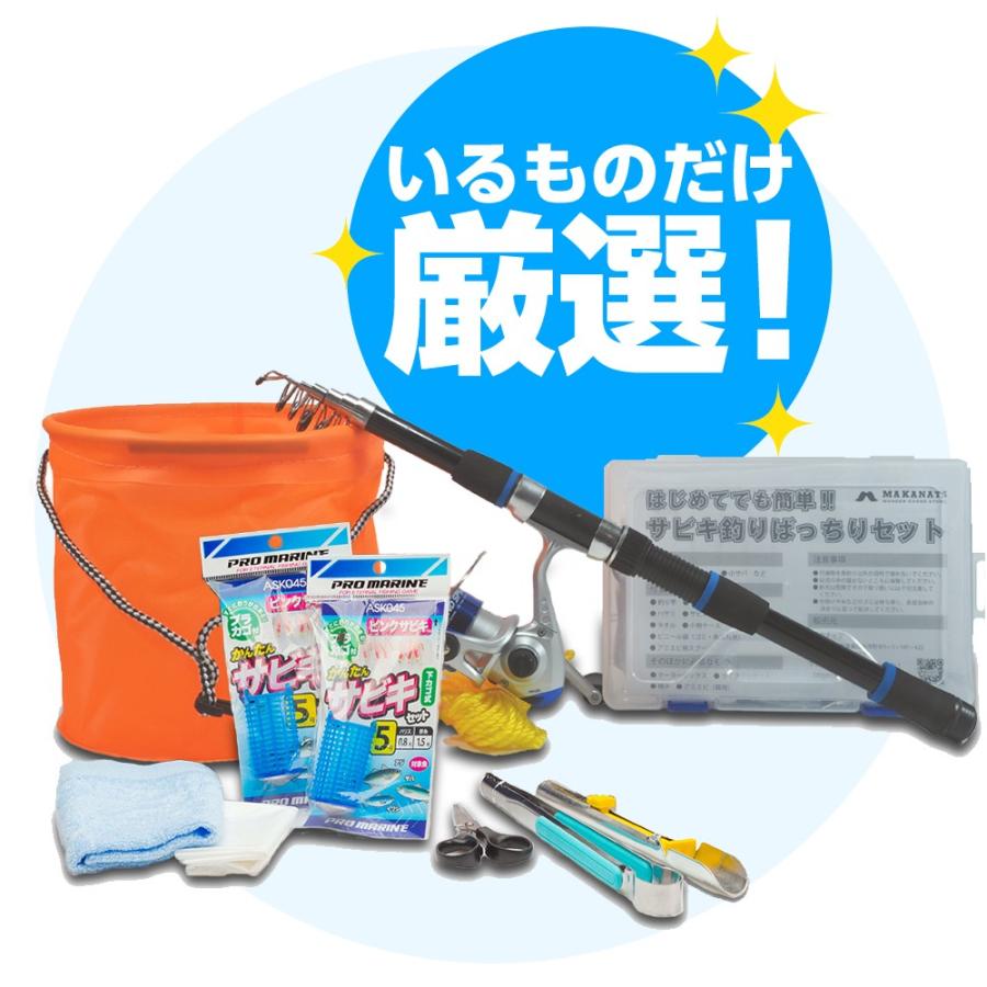 Makanats 海釣りセット はじめてでも簡単 サビキ釣り ばっちりセット エサなし Mkn Sbk さすらいの雑貨屋マカナッツ 通販 Yahoo ショッピング