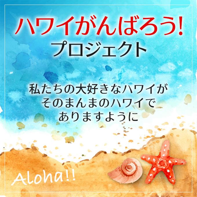 ハワイアンジュエリーネックレス ペンダントトップ ヘッド チェーン付 レディース シルバー925 プルメリア サイドYGの画像