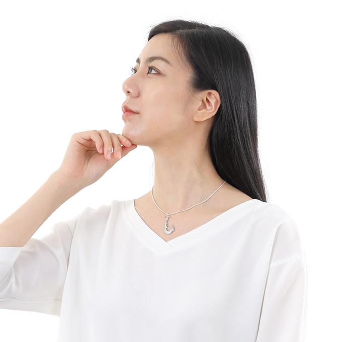 ハワイアンジュエリーネックレス チェーン付き メンズ レディース mens レディス ladys ペンダント シルバー925 フィッシュフック 釣り針 ホヌ 海がめの画像