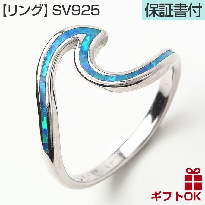 tr173web