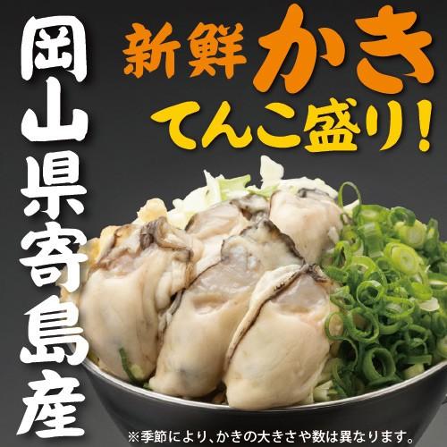 寄島ネギかきおこのみ 牡蠣 かき カキ ねぎ ネギ お好み焼き 岡山 冷凍 電子レンジ お取り寄せ 通販 ギフト お歳暮 御歳暮 おうちごはん |  | 01