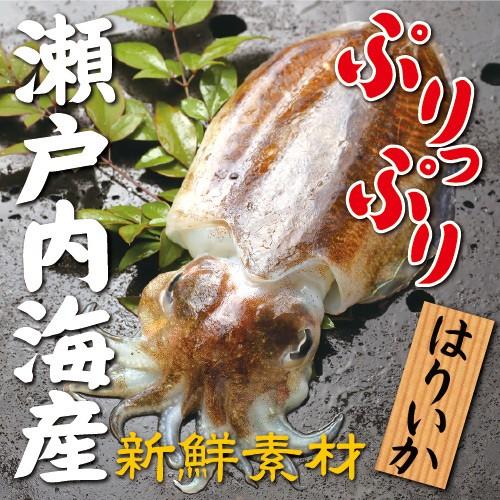 寄島いかめし １人前 いか イカ イカ飯 岡山 冷凍 電子レンジ お取り寄せ 通販 ギフト 炊き込みご飯 お歳暮 御歳暮 おうちごはん |  | 02