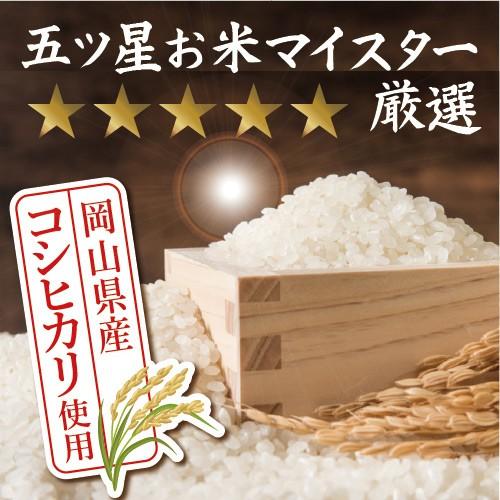 寄島いかめし １人前 いか イカ イカ飯 岡山 冷凍 電子レンジ お取り寄せ 通販 ギフト 炊き込みご飯 お歳暮 御歳暮 おうちごはん |  | 06