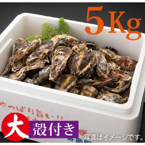 岡山県寄島産殻付き牡蠣（大）約５kg 加熱調理用 Ｌサイズ　かき カキ 牡蠣 殻付き 岡山 寄島 牡蠣小屋 旬 お取り寄せ 通販 ギフト バーベキュー お歳暮 御歳暮 |  | 01