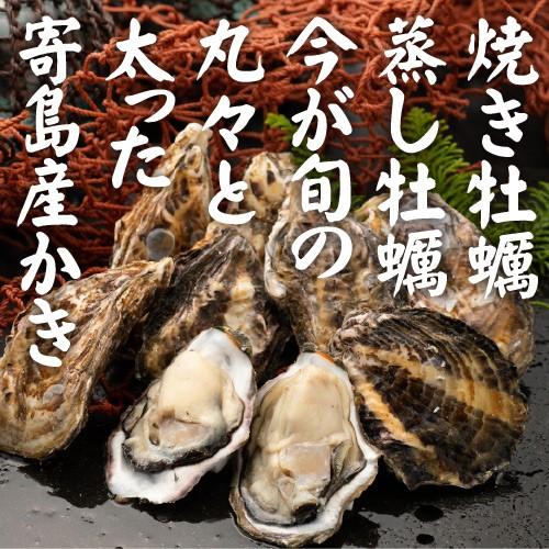 岡山県寄島産殻付き牡蠣（大）約５kg 加熱調理用 Ｌサイズ　かき カキ 牡蠣 殻付き 岡山 寄島 牡蠣小屋 旬 お取り寄せ 通販 ギフト バーベキュー お歳暮 御歳暮 |  | 02