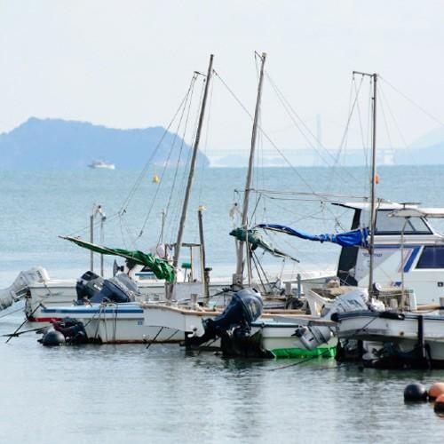 岡山県寄島産殻付き牡蠣（大）約５kg 加熱調理用 Ｌサイズ　かき カキ 牡蠣 殻付き 岡山 寄島 牡蠣小屋 旬 お取り寄せ 通販 ギフト バーベキュー お歳暮 御歳暮 |  | 04