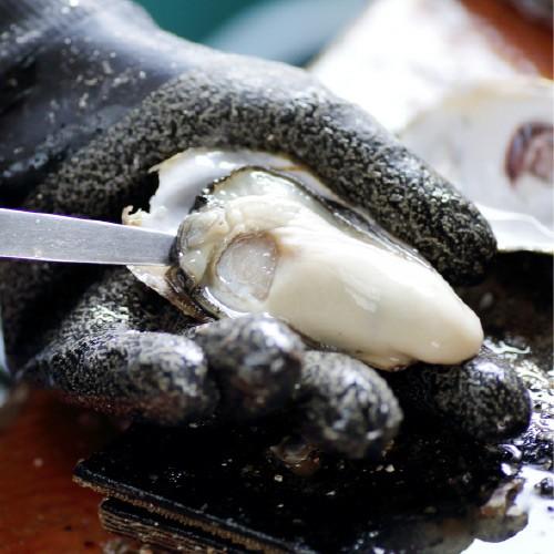 岡山県寄島産殻付き牡蠣（大）約５kg 加熱調理用 Ｌサイズ　かき カキ 牡蠣 殻付き 岡山 寄島 牡蠣小屋 旬 お取り寄せ 通販 ギフト バーベキュー お歳暮 御歳暮 |  | 06
