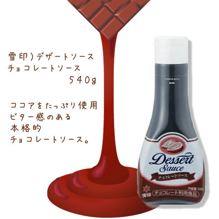 業務用 製菓材料 雪印 デザートソース チョコレートソース ５４０ｇ パンケーキ アイスクリーム ワッフル お祭り 学園祭 学校祭 キャンプ マカリロサンキッチン Yahoo 店 通販 Yahoo ショッピング