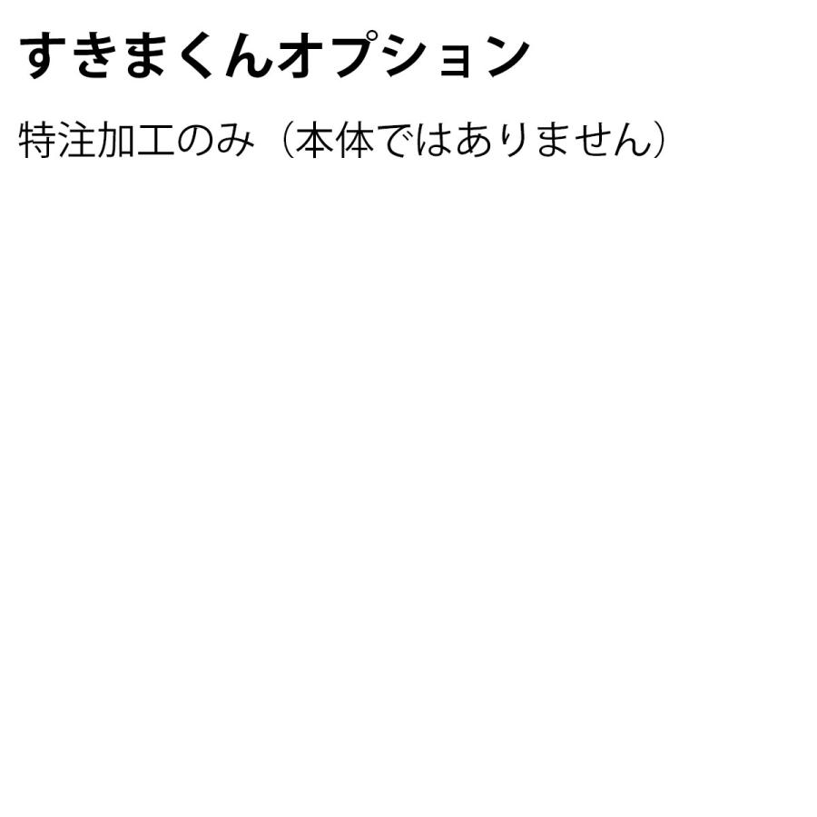 シューズ すきまくんミラー扉取付(HT60) | 