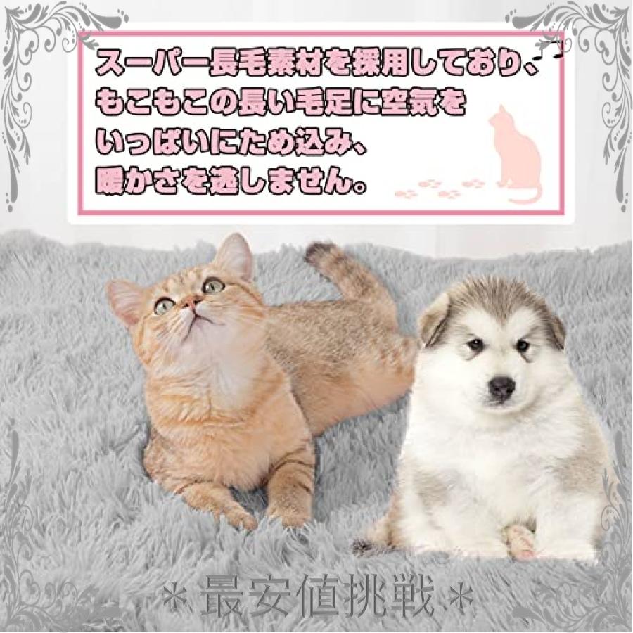 ブランケット Sサイズ 黒 肉球柄 お昼寝 ペット 犬 猫 薄手 キャリー V