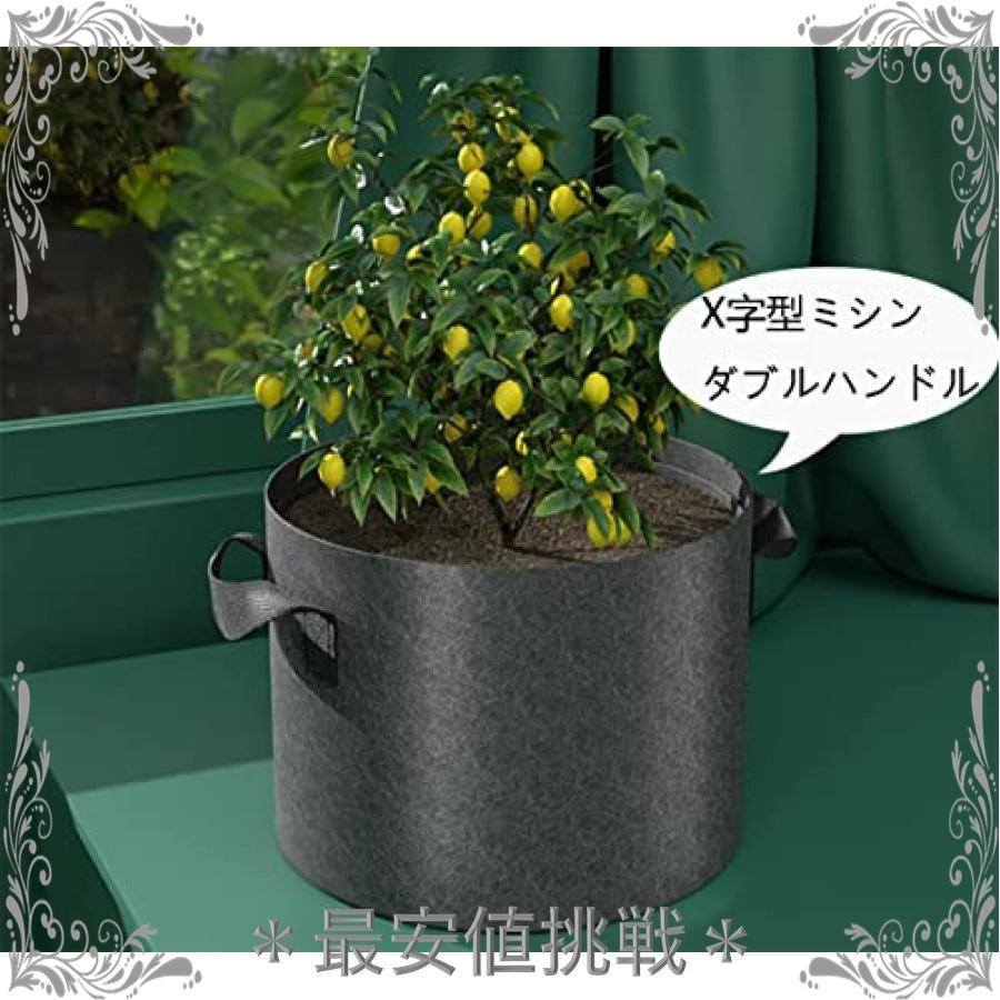 1230円 最安値級価格 In4m フェルトプランター 10ガロン 6個セット 持ち手付き 植物は袋を成長させる不織布の鍋ガーデニング袋野菜 プランター袋の植え付けガーデニング袋 Ciudaddelmaizslp Gob Mx