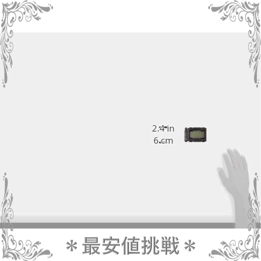 Ngsショップニチドウ マルチ水温計h