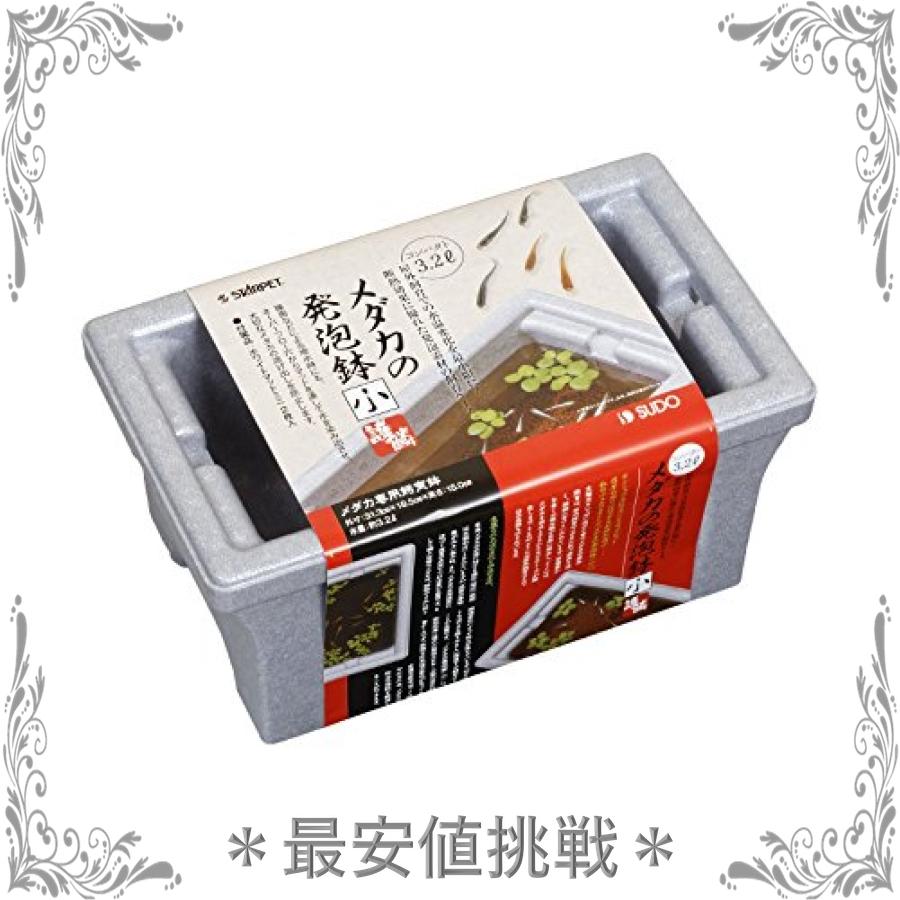 E−CON プラ箱 L20 グリーン 幅54.1×奥行き34.5×深さ15.6cm 約20L お一人様2点限り ≪超目玉☆12月≫ E−CON プラ箱 L20 グリーン 幅54.1×奥行き34.5×深さ15.6cm 約20L お一人様2点限り ≪超目玉☆12月≫