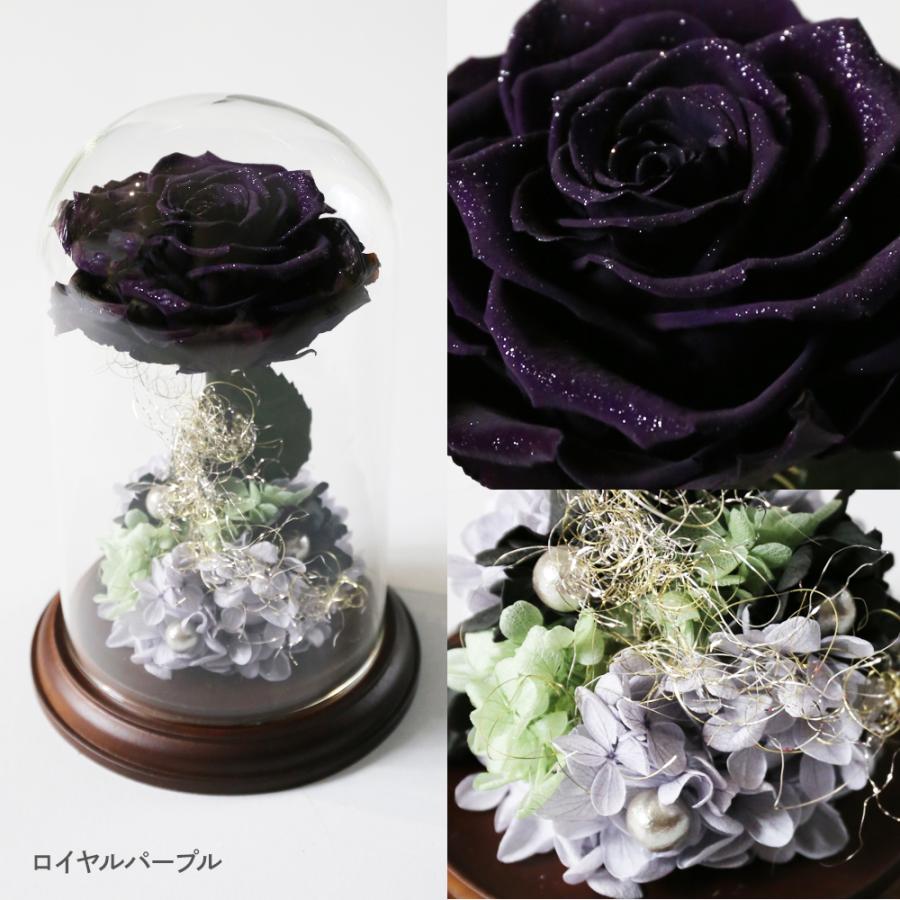 送料無料 非冷凍品同梱不可 Makefuture プリンセスフルール