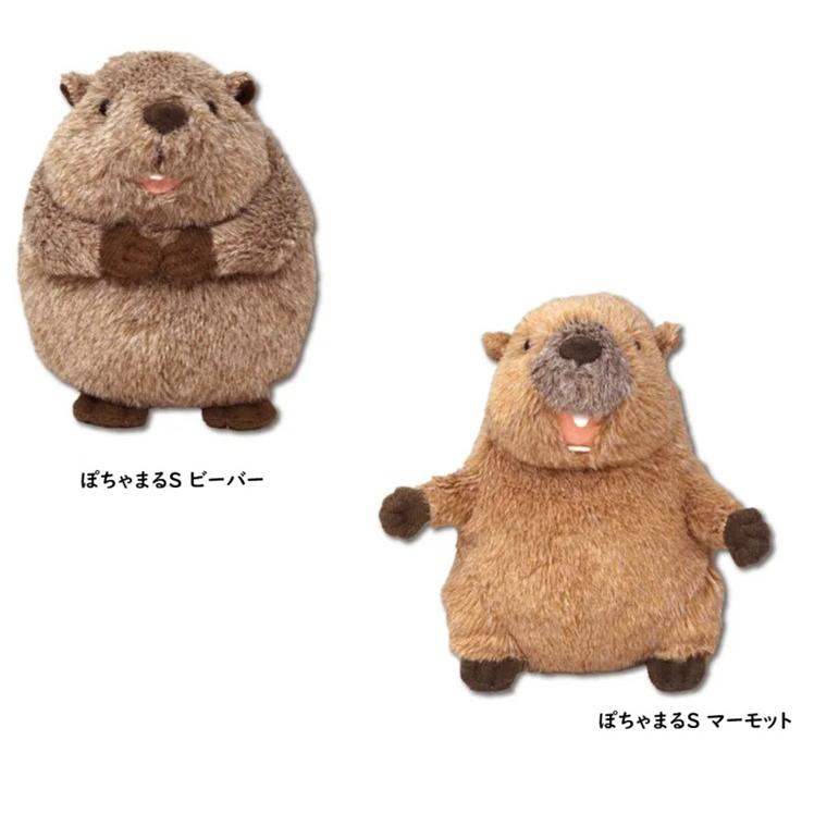 ぽちゃまるS ビーバー 　マスコット　ぬいぐるみマスコット　ぬい活　癒し　リラックス | 