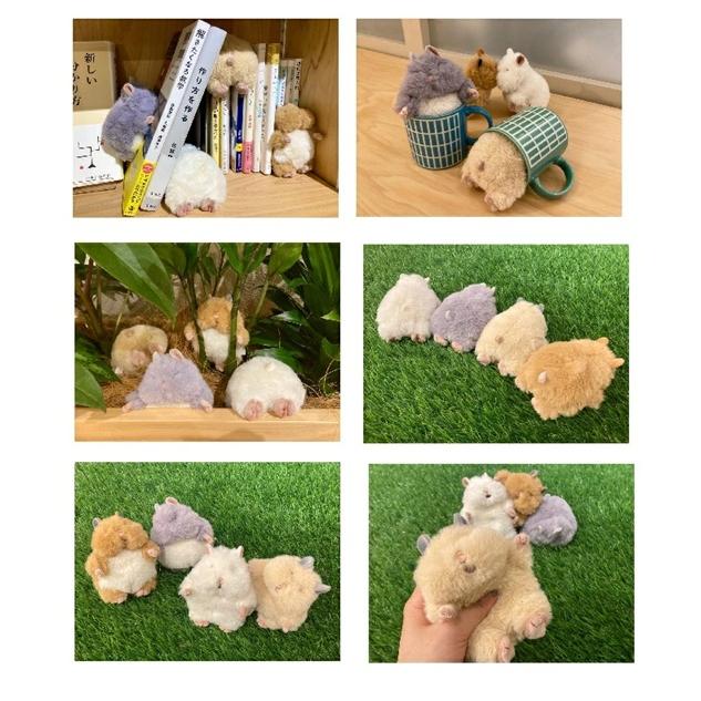 はむにぎり　おもち　きなこ　みたらし　ごまきち　　マスコット　　ハムスター　 マスコット　ぬいぐるみマスコット　ぬい活　癒し　リラックス |  | 03