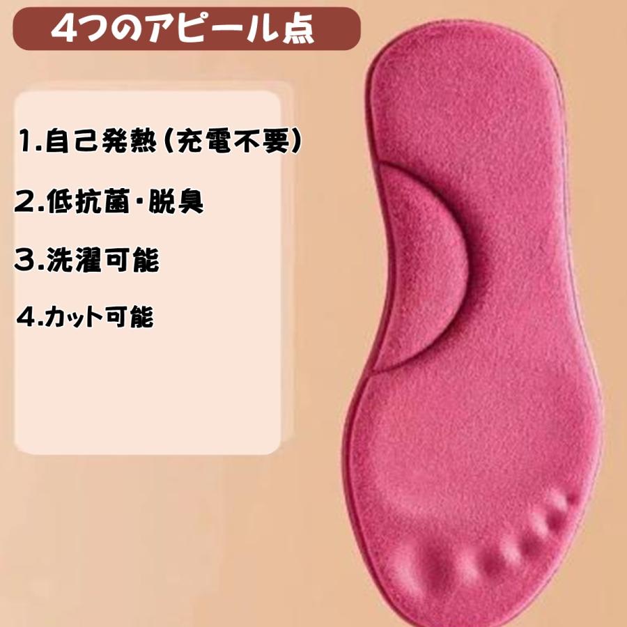 インソール 暖かい 2枚セット 防寒 ホカホカ 冬 雪 追加1枚350円