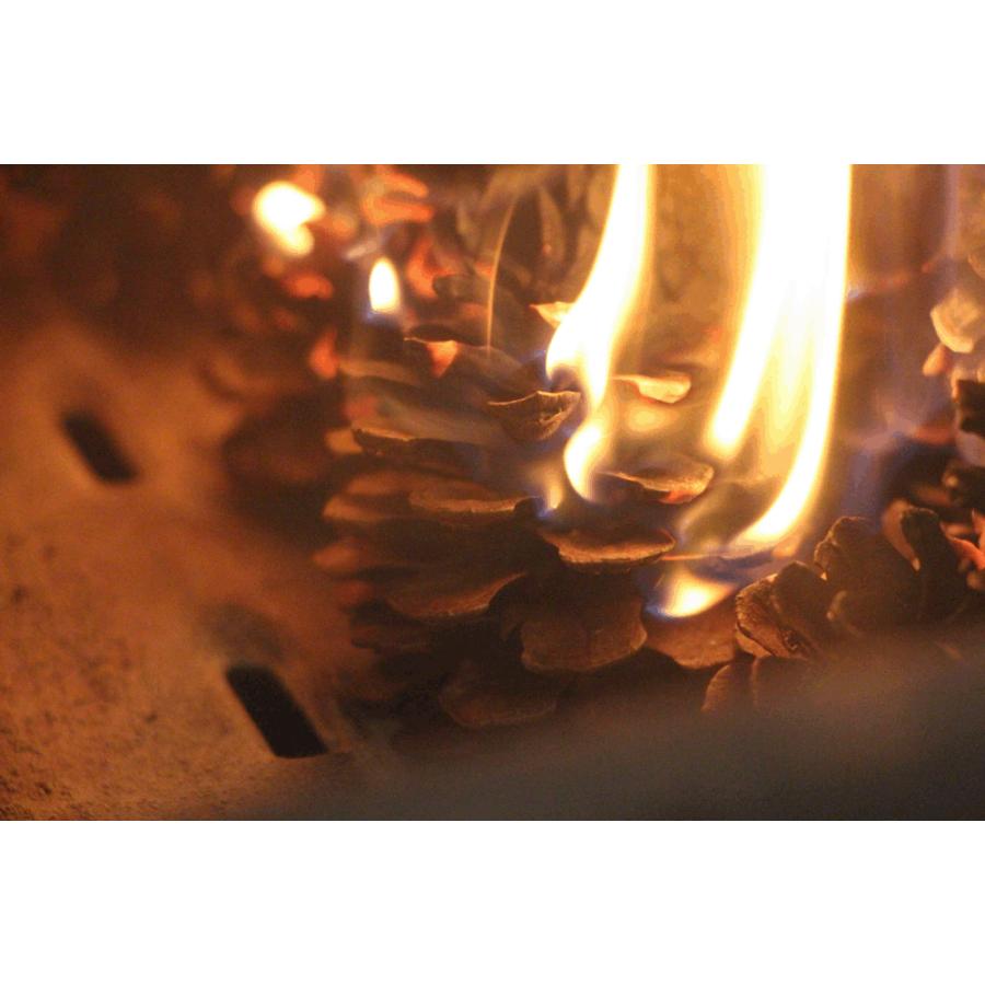 松ぼっくり（たっぷり約460ｇ/箱）※目安60個前後　焚付最適 |  | 03