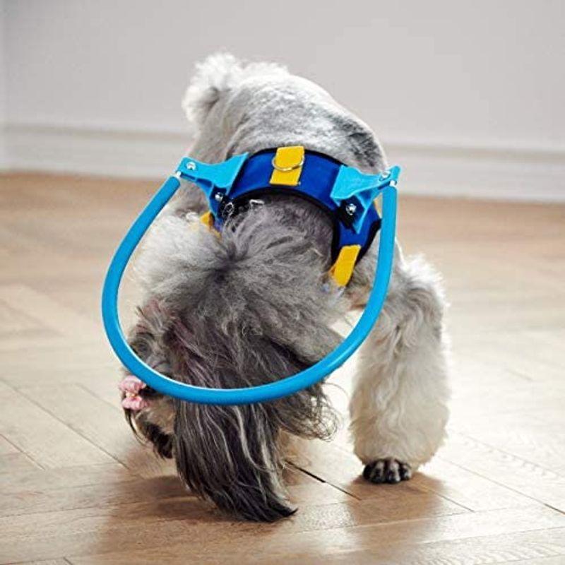 Nikka 日華 ペット用盲目リング フェイスガード セーフリング 盲犬杖 衝突防止 大型犬 老犬 高齢犬 目の不自由 白内障 視覚障害 Lサイズ Weddingsatwork Com