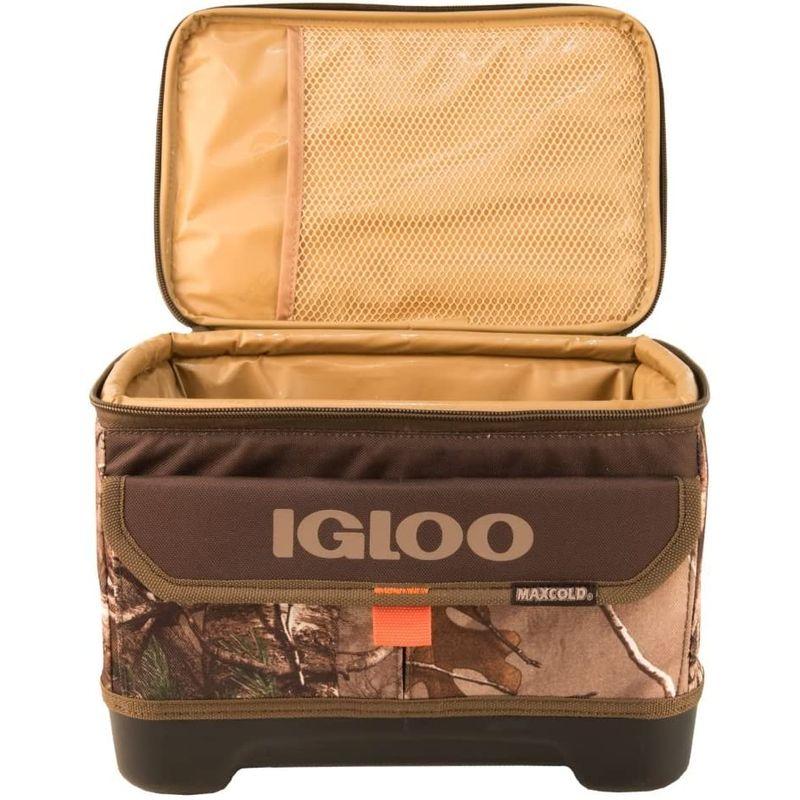 クリアランス価格 IGLOOリアルツリーREAL TREEソフトクーラーボックス